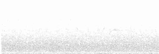Синиця чорна [група ater] - ML619176289