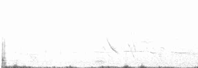 Sarı Gagalı Dağ Kargası - ML619176292