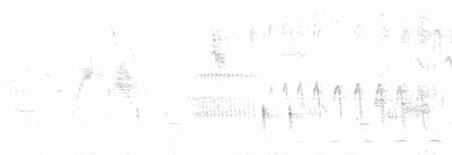 Пестроклювая поганка - ML619176668