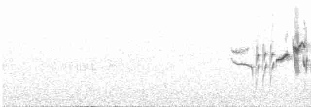 Кропив’янка сардинська - ML619176727