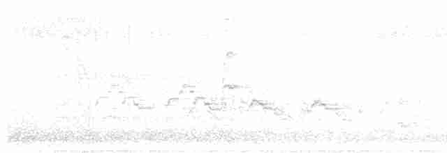 Дрізд-короткодзьоб бурий - ML619176775