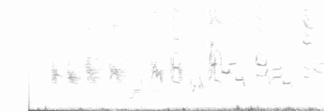 דרורן זהוב - ML619176928