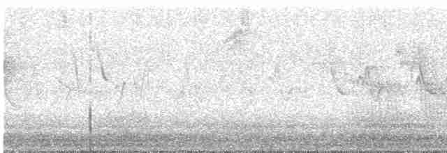 Troglodyte de Baird - ML619177682