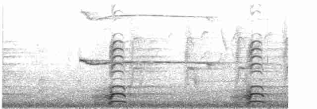 Ширококрылый канюк - ML619177745