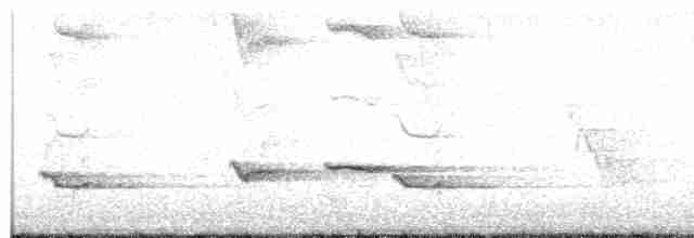 trupiál baltimorský - ML619177756