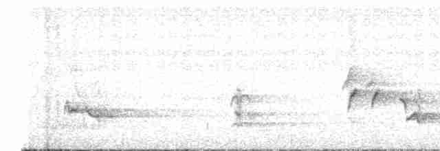 drozdec černohlavý - ML619177759