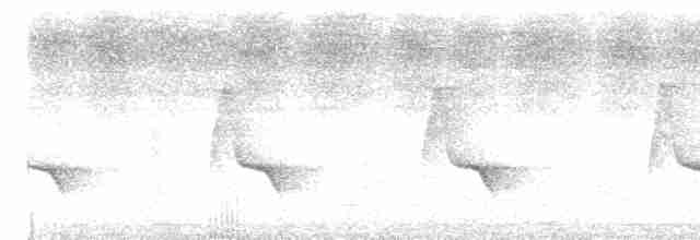 langhaleskredderfugl - ML619177937