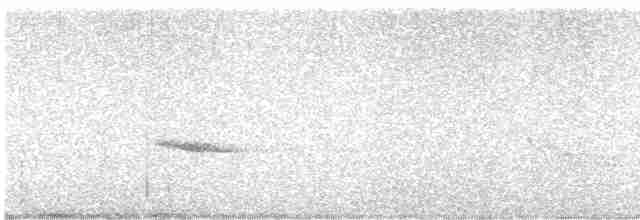 Дрізд-короткодзьоб плямистоволий - ML619178040