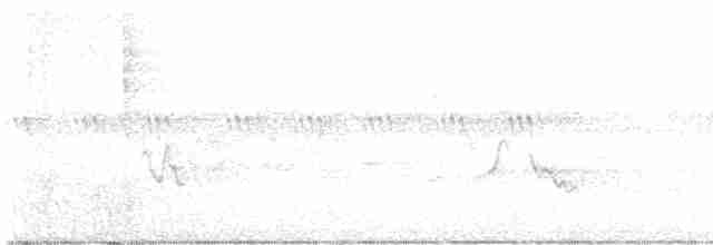 Черногорлая хвойница - ML619178191