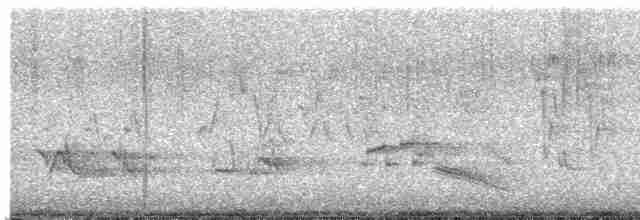 Дрізд-короткодзьоб бурий - ML619178243