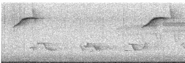 Дрізд-короткодзьоб бурий - ML619178244