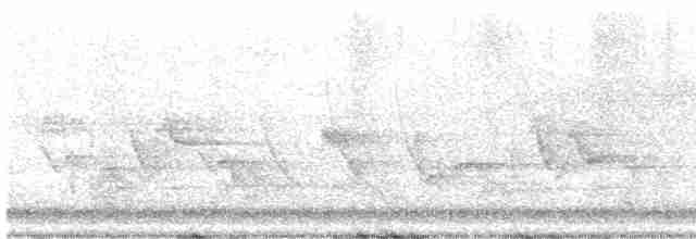 Oriole des vergers - ML619178422