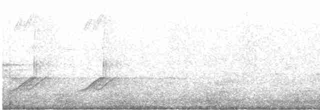 svarthetteparula - ML619179298