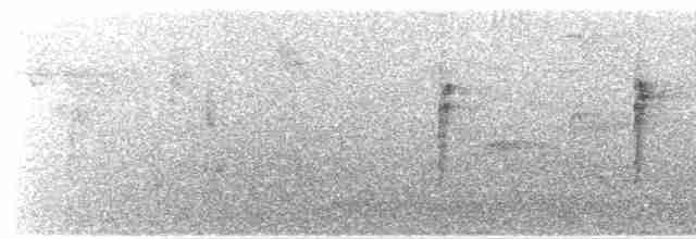 Черногорлая хвойница - ML619179417