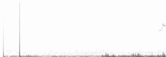 strakapoud osikový - ML619180038