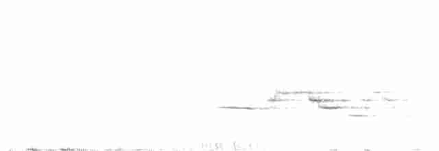 Дрізд-короткодзьоб плямистоволий - ML619180047