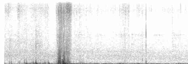 Зяблик звичайний - ML619180212