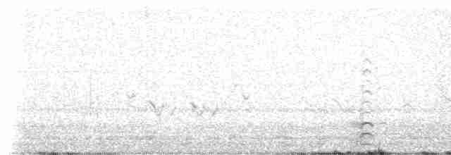 Малая канадская казарка - ML619180271