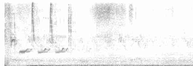זמיר הירדן - ML619180354