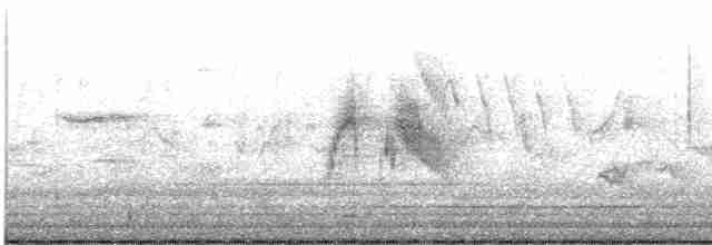Ивовый мухолов - ML619180406
