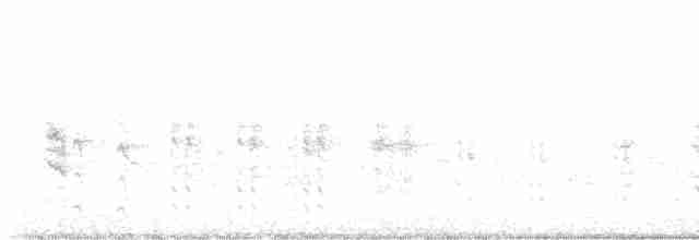 Rousserolle effarvatte - ML619180435