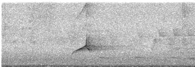 Plongeon huard - ML619180444