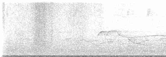 Желтобрюхий мухолов - ML619180608