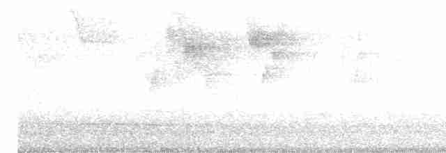 Viréon à pattes claires - ML619180629