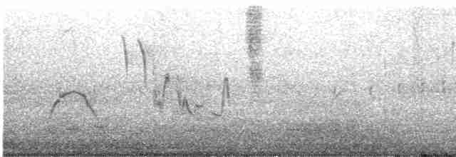 Трав’янка лучна - ML619180665