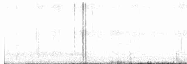 Pipit farlouse - ML619180690