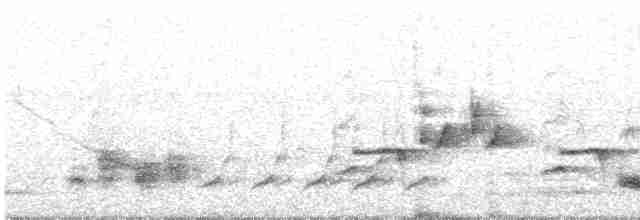 Тремблер прямодзьобий - ML619180863