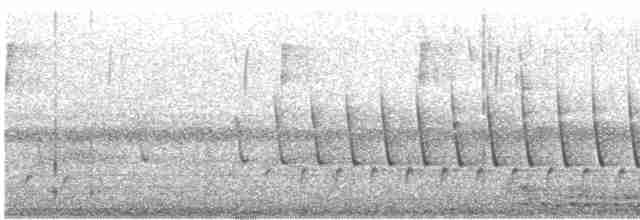 Oriole des vergers - ML619180864