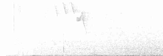 Hooded Warbler - ML619181188