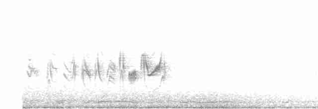 Пеночковый виреон (arizonae) - ML619181553