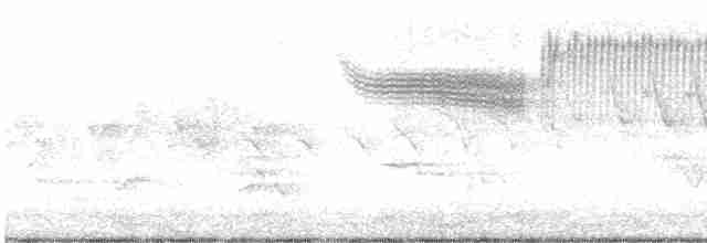 雑種 キンバネアメリカムシクイ ｘ アオバネアメリカムシクイ（F1雑種） - ML619181722