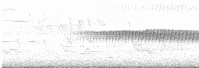 סבכון אורנים - ML619181785