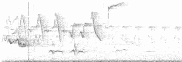 Тремблер прямодзьобий - ML619182056