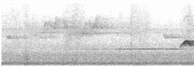 Boz Böğürlü Çalıbülbülü - ML619182332