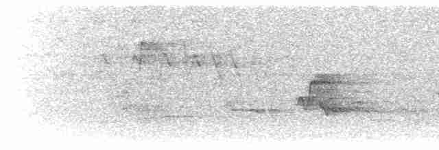 Дрізд-короткодзьоб бурий - ML619182560