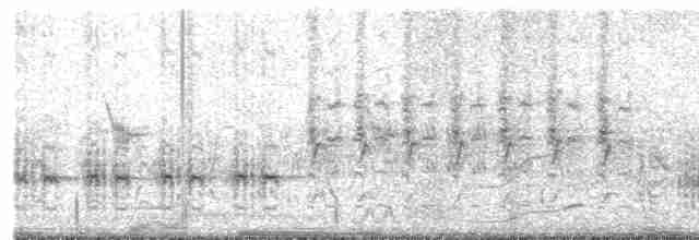 Great Reed Warbler - ML619182596