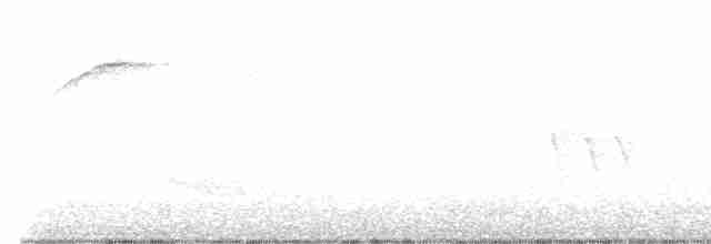 Дрізд-короткодзьоб бурий - ML619182790