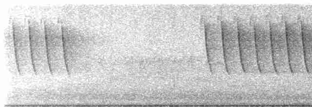 Карнатка білоброва - ML619182804