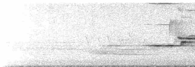 Дрізд-короткодзьоб плямистоволий - ML619182900