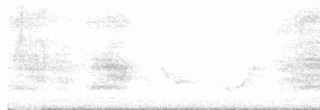 Chara de Steller - ML619183603
