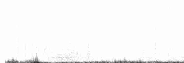 Кактусовый крапивник - ML619184438