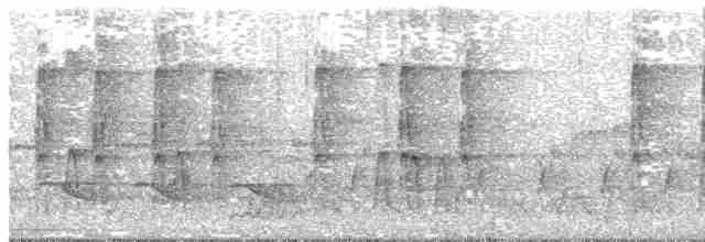 strakapoud osikový - ML619184687