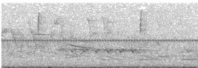 טואי אדום-עין - ML619184701
