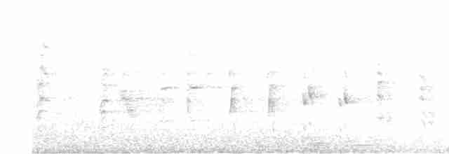Rousserolle effarvatte - ML619184710