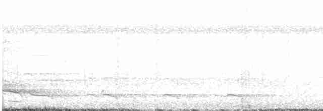 Yellow-throated Toucan - ML619184724