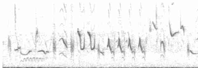 Oriole des vergers - ML619184725